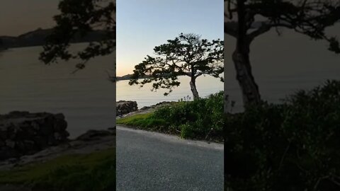 Morning seaside commute.