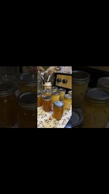 Canning Food Lion boneless chicken breast - At only $1.79/lb, it was $2 cheaper/lb than Walmart! 😮