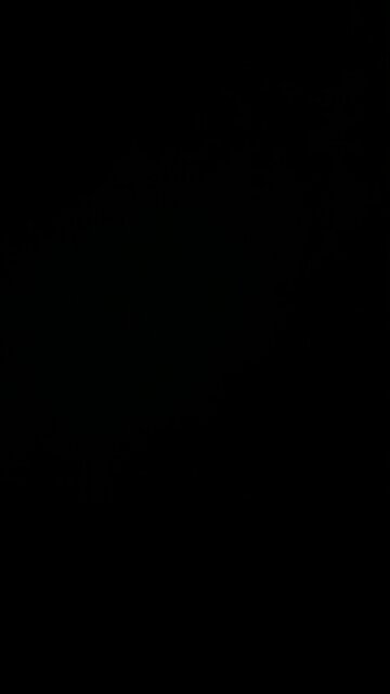 Paranormal investigation