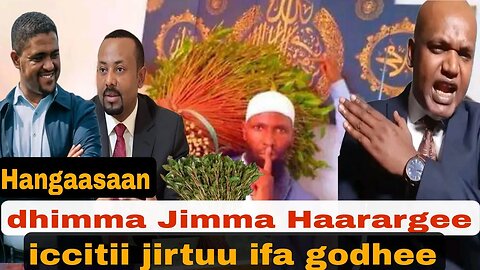 Hangaasaan dhimma Jimma harargee icciti jirtu ifa godhe