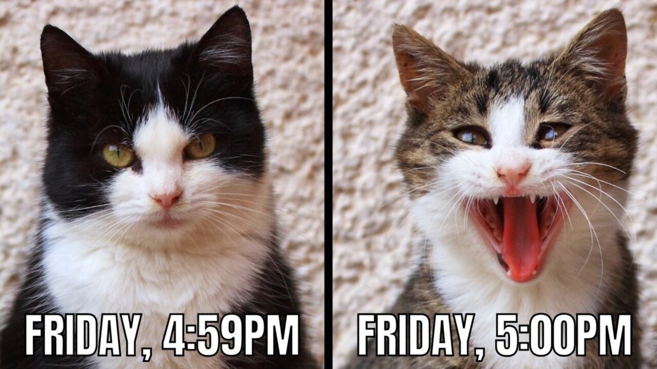 Tuesday ramblings, and no f@cking tacos