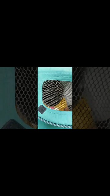 when it is drizzling and my baby still wants to go for a ride 😍