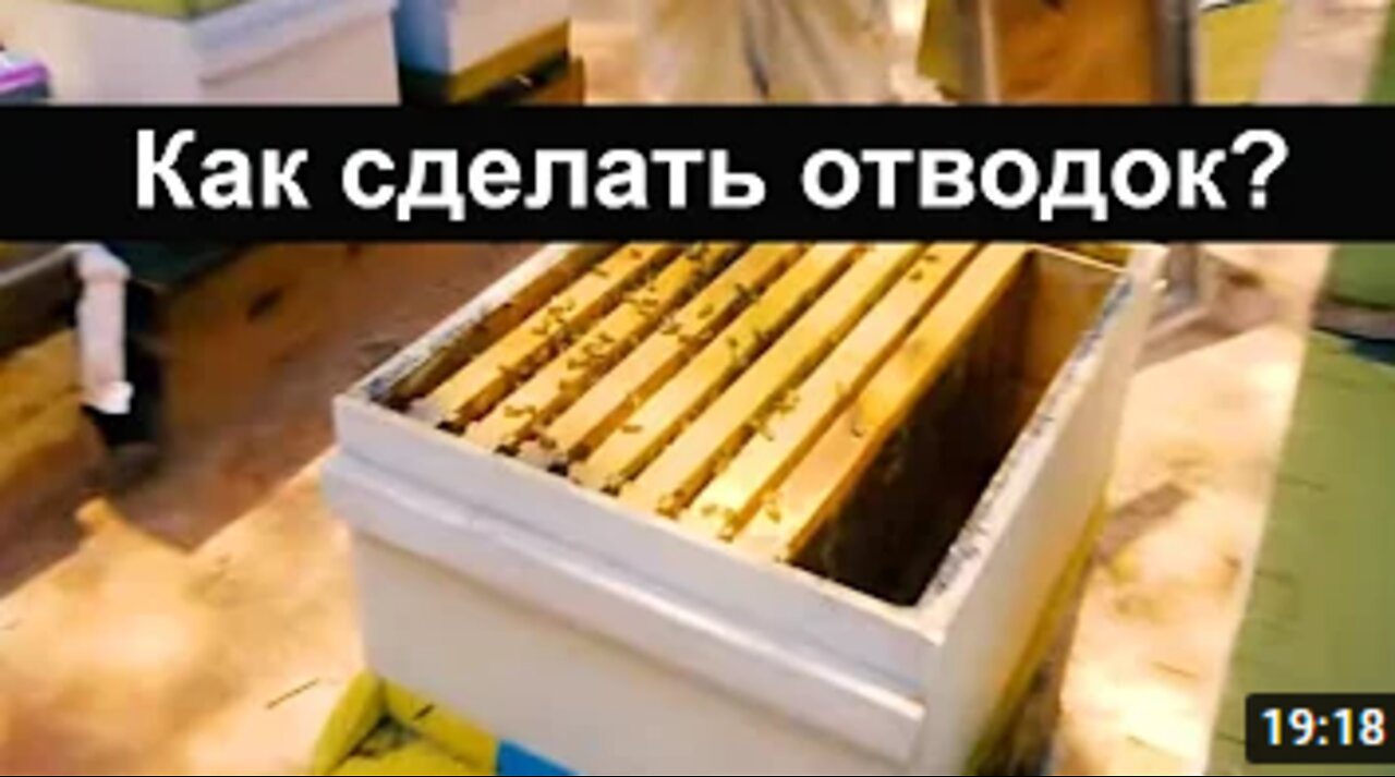 Apiary #47 How to make layers of bees- - There is a Buyer for two layers. Beekeeping. Apiary.