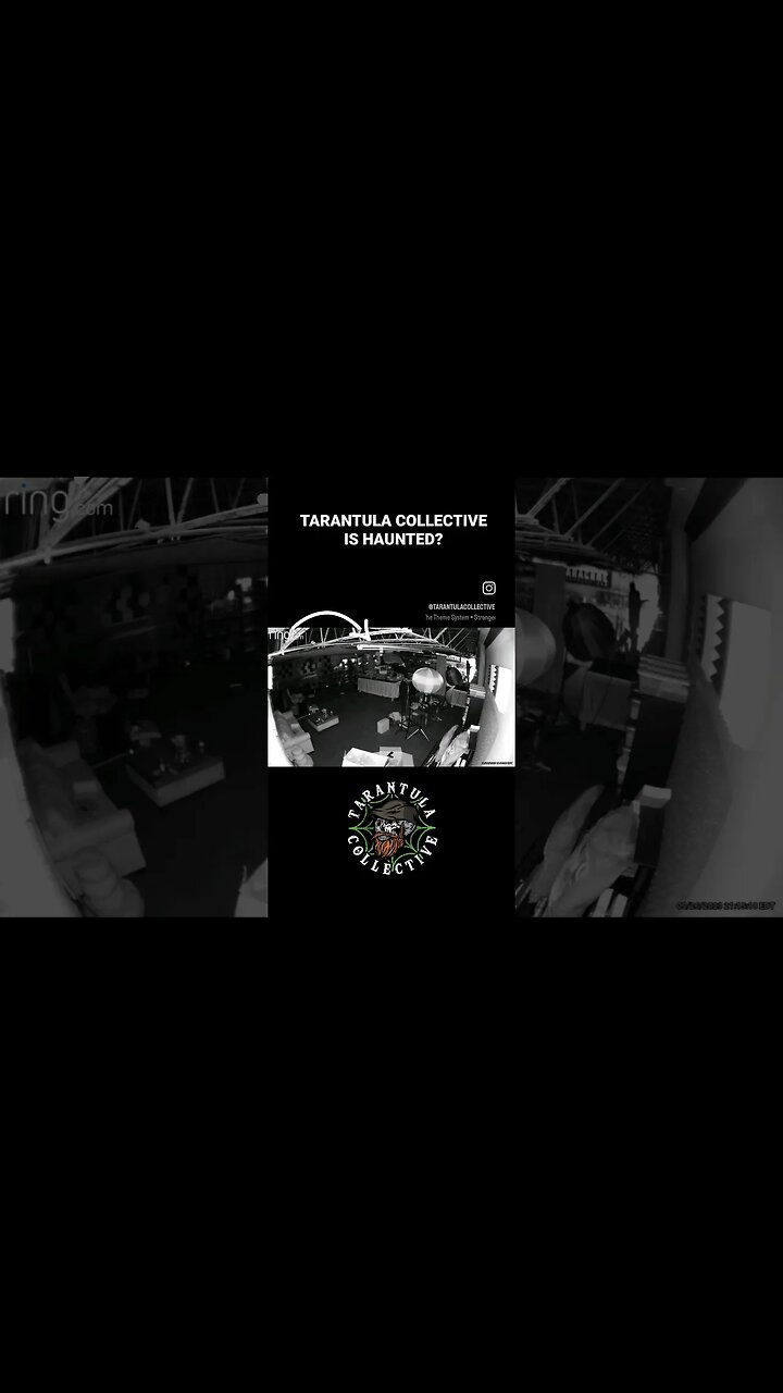 Something is HAUNTING the Tarantula Collective!