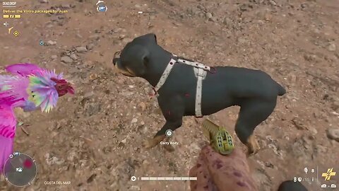 Far Cry 6: Crazy Rooster fights Dog.