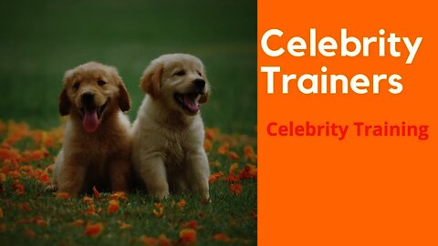 Celebrity Dog Training Celebrity Dog Trainers Chip Diamond