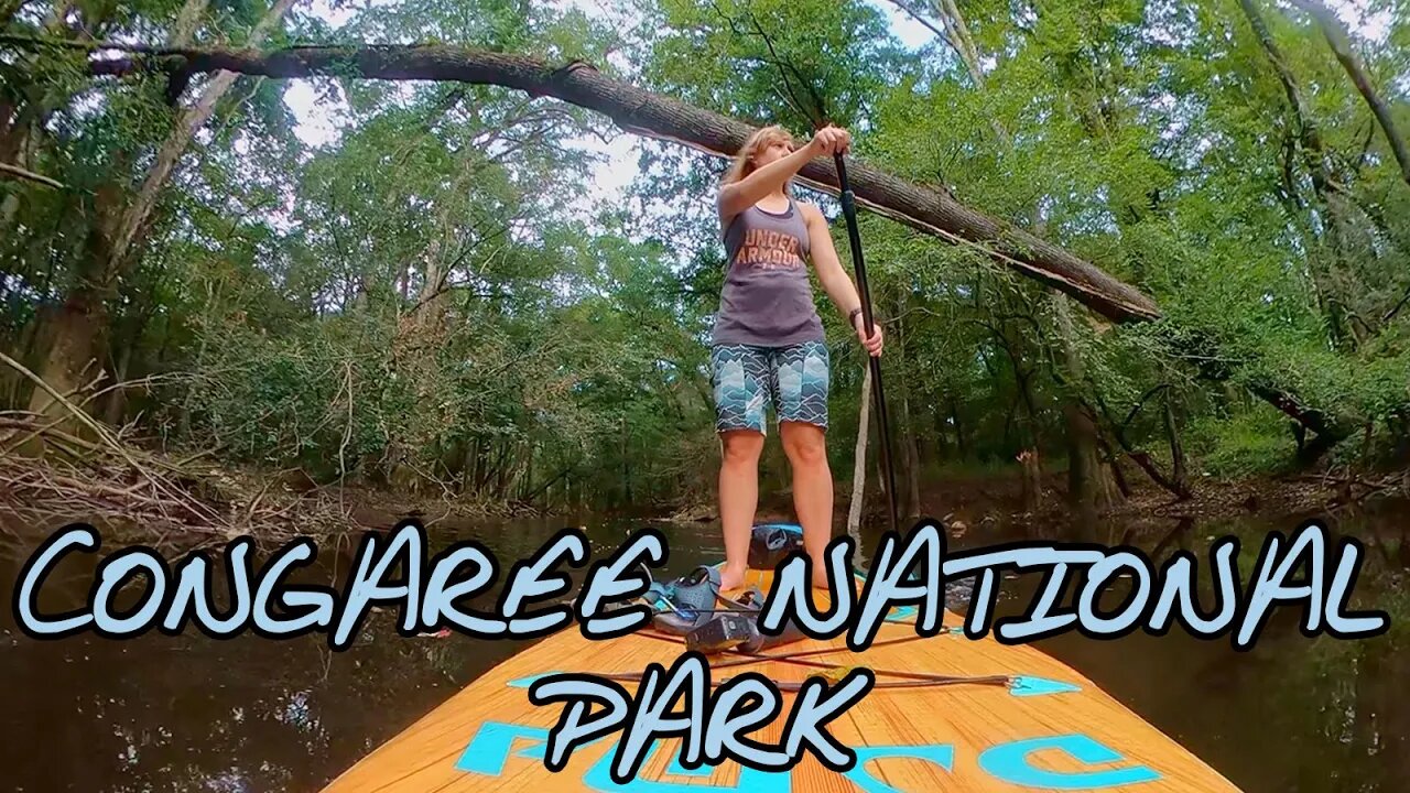 Stand Up Paddle Boarding Congaree National Park South Carolina