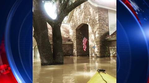 Armadillo rescued from floodwaters