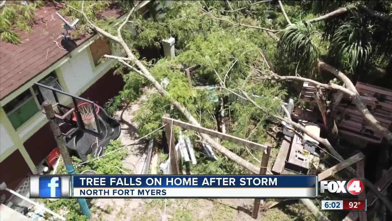 Tree falls on Fort Myers home