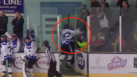 English Hockey Player PUNCHES a Fan, Has Contract Immediately Terminated