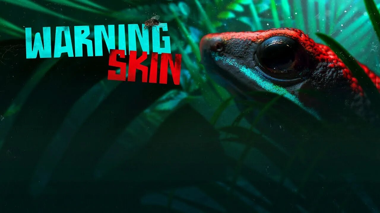 Warning Skin Weapon Bundle (Season One)
