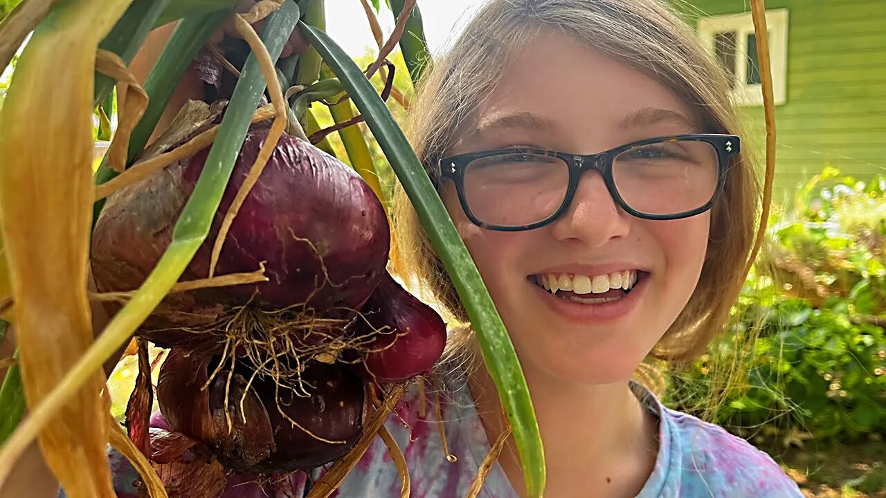 Awesome Onion Harvest