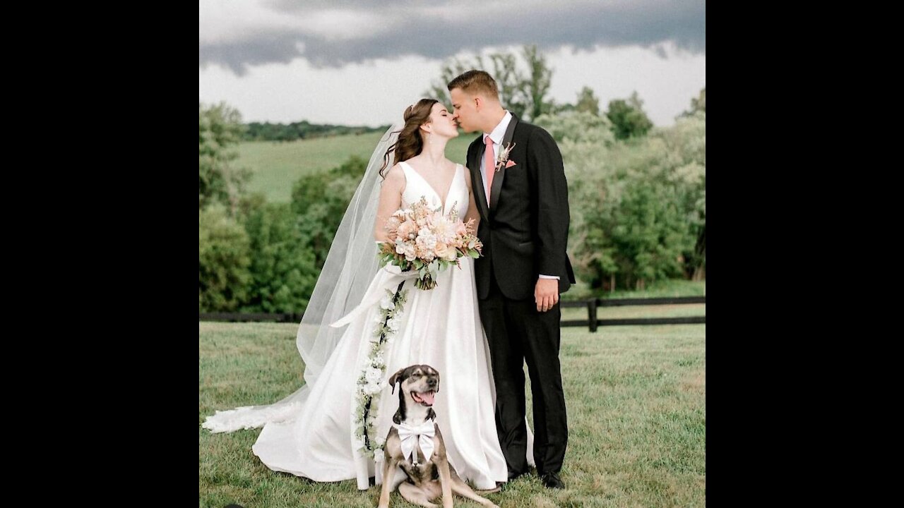 GenuVenue - Best Event & wedding Planners in Calgary