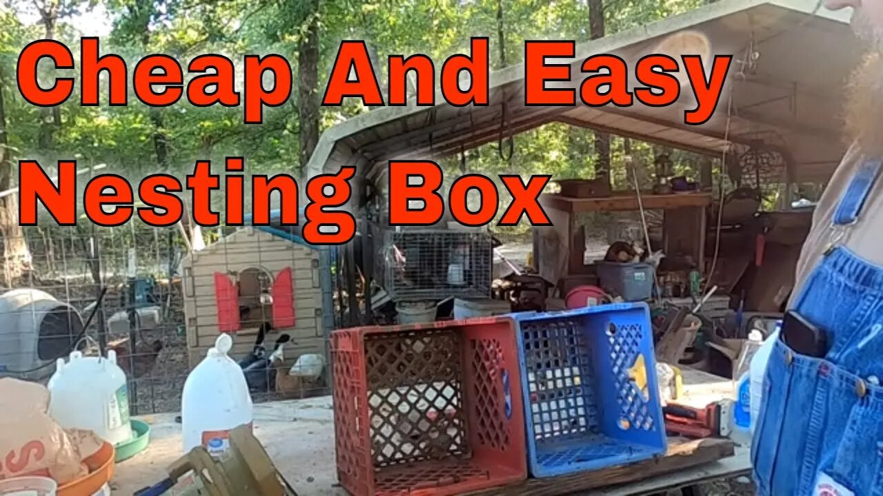 Cheap Easy Nest Boxes