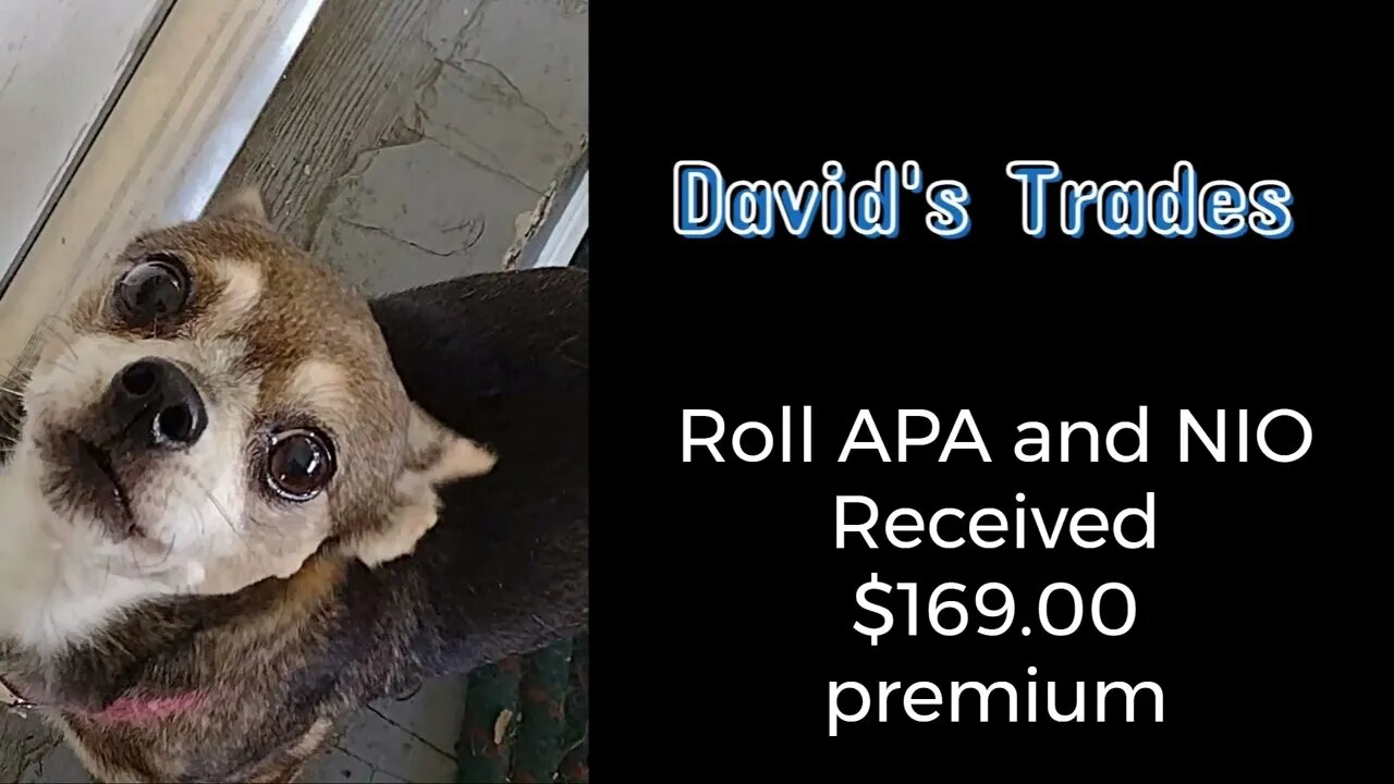 Roll APA and NIO. Received $169.00