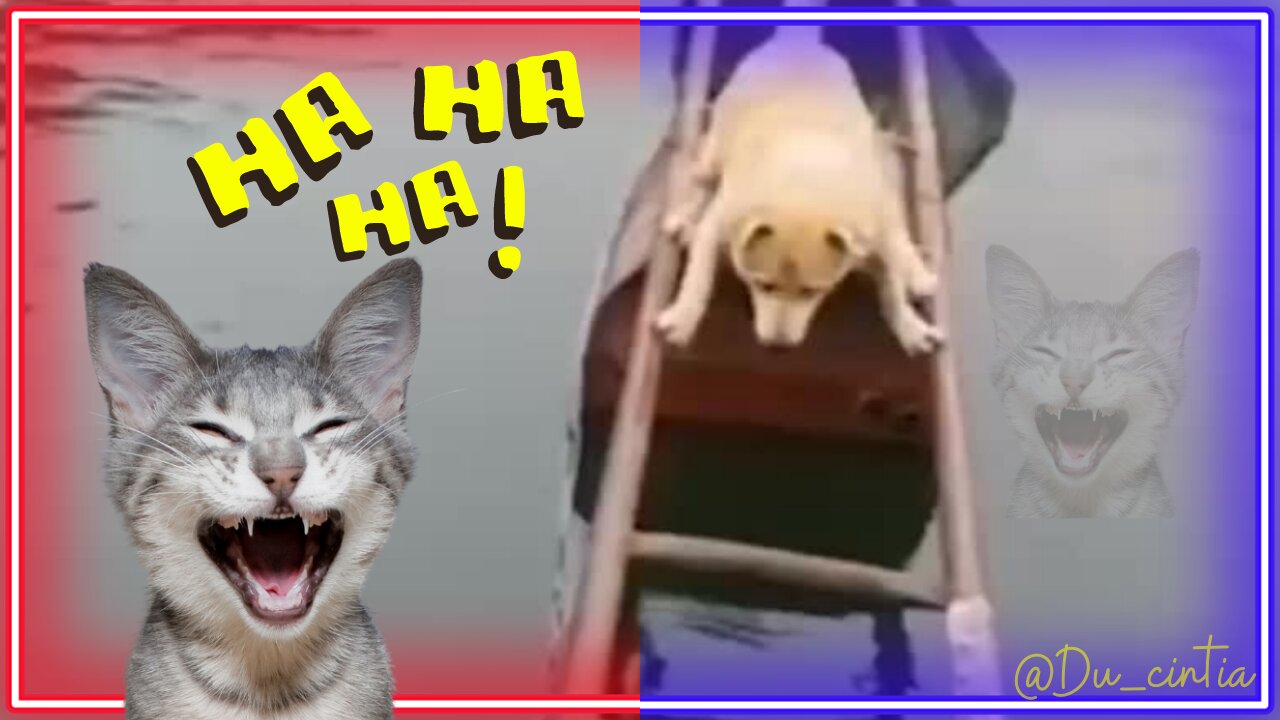 π±π
Funniest Animals | Funny Dog And Cat | SΓ³ Risos ππΆπ»