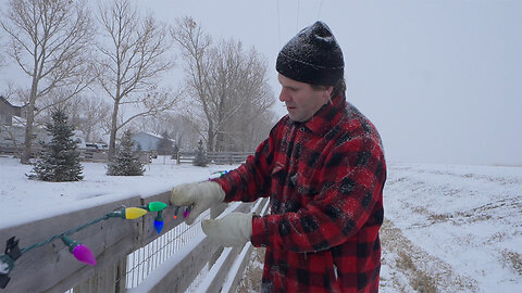 Just like that, a blanket of snow makes it feels like Christmas. Daily Vlog #554