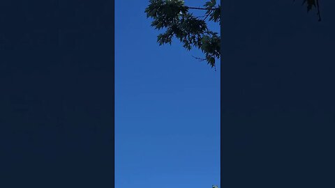 yes the sky is blue #shorts