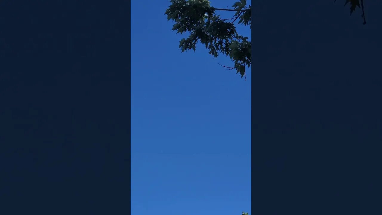 yes the sky is blue #shorts