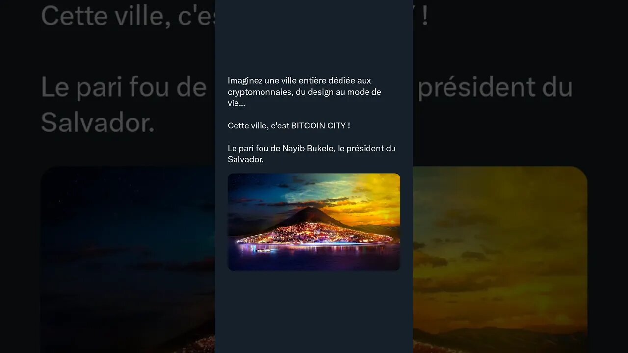 Imaginez une ville entière dédiée aux cryptomonnaies, du design au mode de vie...