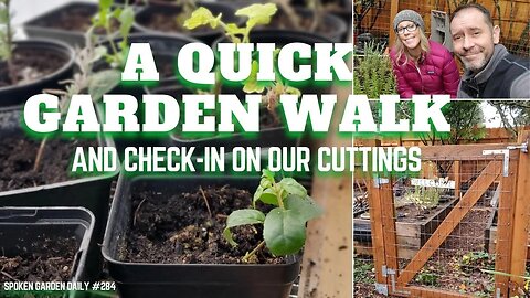 💚 A Quick Garden Walk and Greenhouse Check-in - SGD 284 💚