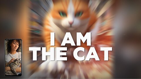 Cat Defeated Dogs that stole Fishes
