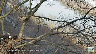 Hays Eagles Dad brings Mom another Gift Fish 1.10.23 12:25PM