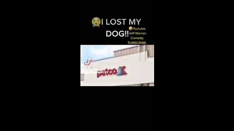 Lost Dog