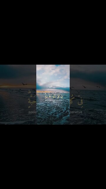 Qur'an Recitation .|| Surah Al-Baqarah Ayat 261 . #quran #surahalbaqarah #shorts