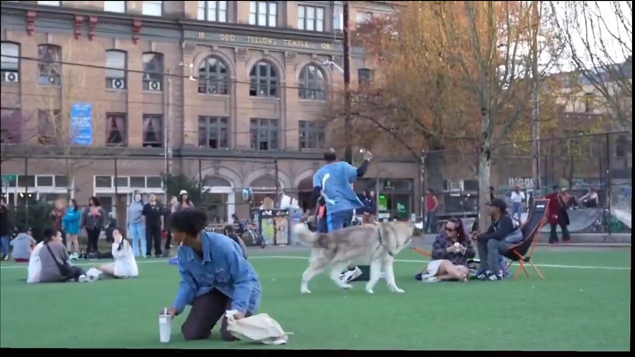 Couple let their dog run loose at a park