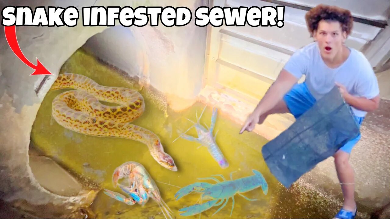 I Found SEWER INFESTED With DEADLY SNAKES!