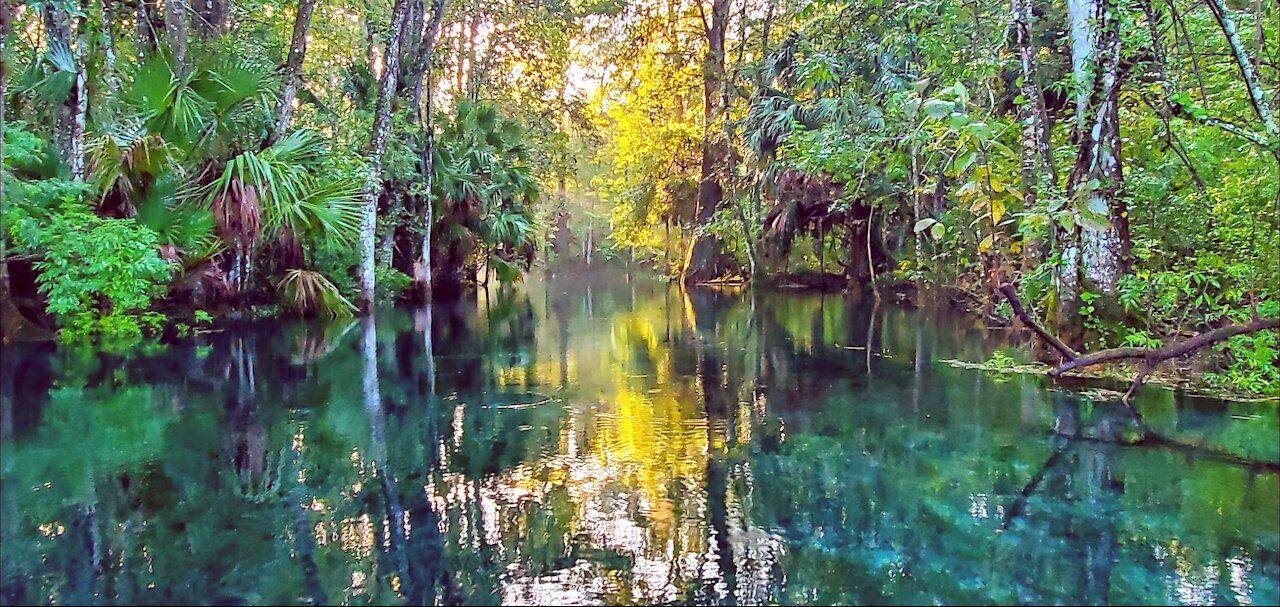 Silver Springs State Park