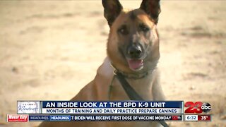 An inside look at the BPD K-9 Unit