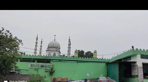 wooden Shah