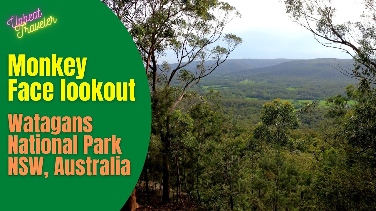 Monkey Face Lookout, Watagans National Park, NSW, Australia