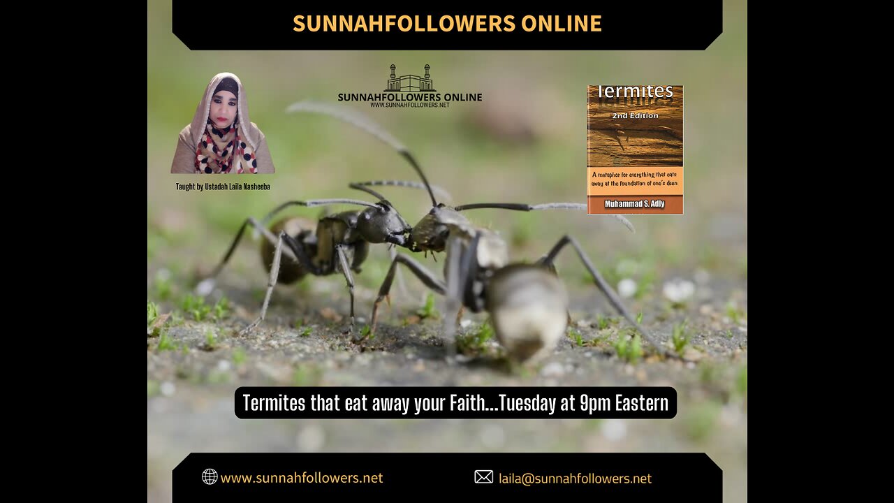 Termites - Beware Hadiths