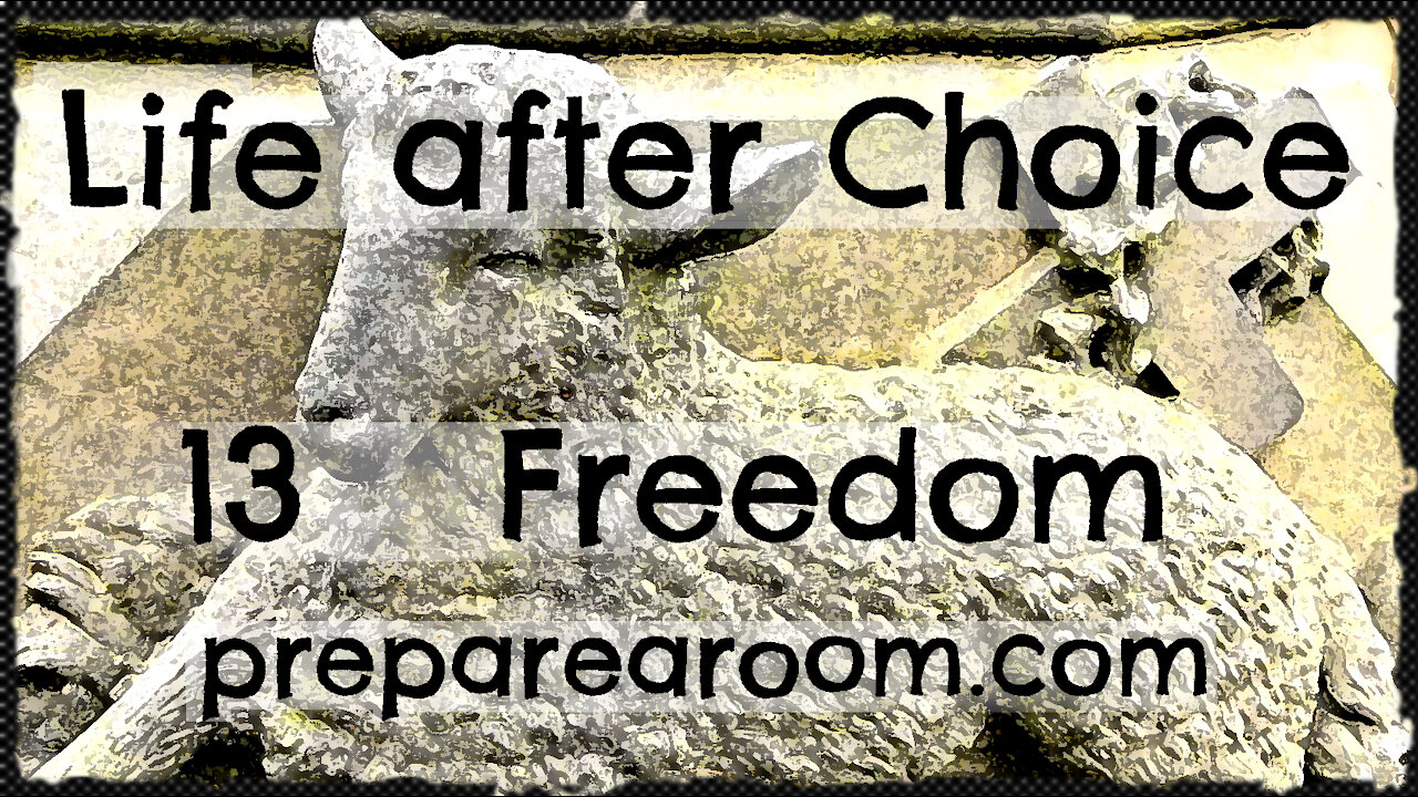 Life after Choice Video 13: Freedom