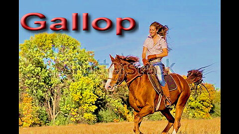 Gallop by Lubomir Kavaldjiev (2022)
