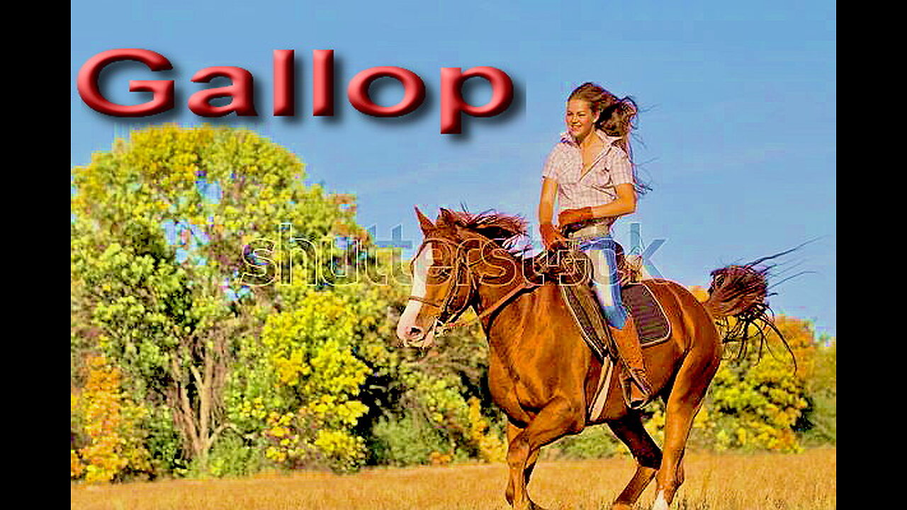 Gallop by Lubomir Kavaldjiev (2022)
