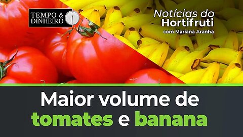 Maior volume de tomates e banana, mas preços apresentam estabilidade