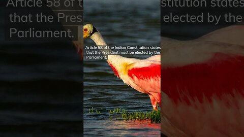 अनुच्छेद 58 #viral #article #currentaffairs #trending #like #share #shortsvideo #shortsfeed