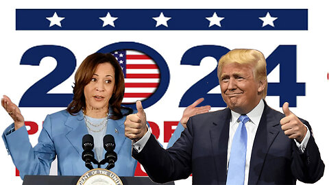 At least 12 things you don't know about the 2024 election