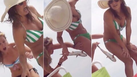 10 Times Animals Got Stuck in Humans