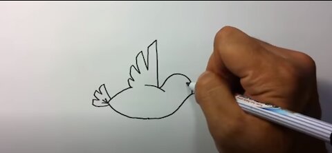 How to draw numbers into birds
