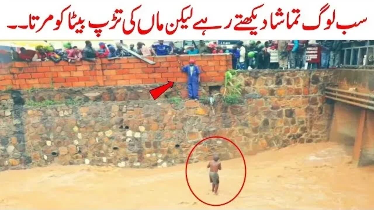 The Cutest Video | Viral Video