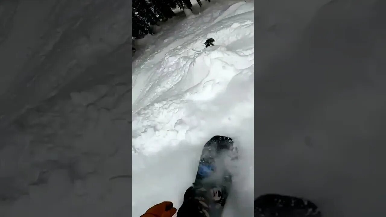 Flat Landing? Dont go too big, SAVE YOUR KNEES! #short #shorts #snowboarding #snowboard #trees