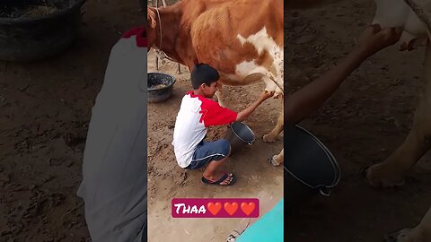 thaa # new song # short video # #funny #video