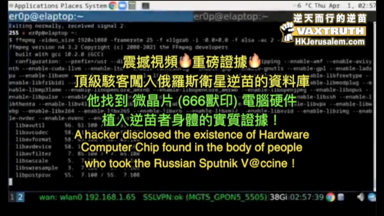 震撼視頻🔥 頂級駭客闖入俄羅斯衛星逆苗的資料庫， 發現逆苗者身體已注入微晶片 (666獸印) CPU電腦硬件！ Russian Hacker discovered Vaxxed People's Hardware Chip in Sputnik Vaccine's Database！ (中英文字