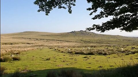 Vlog at Four winds car park Dartmoor 27th May 2023