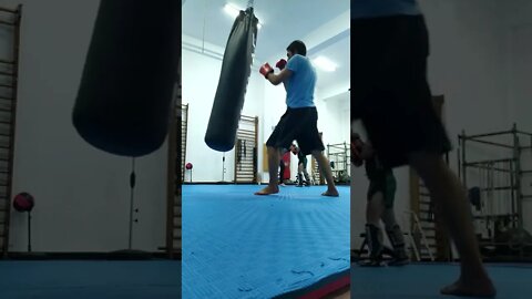 Kick, Punch, Elbow and Knee The Bag (23)